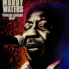 Chuck Brown - Live At Union Station - Hoochie Coochie Man (TBland Remix)
