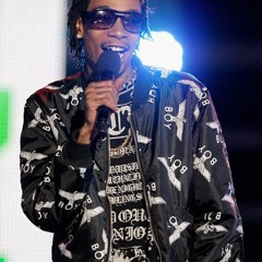 Ziplocc (Weed Mix)