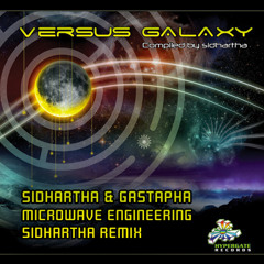 Sidhartha & Gasthapa Microwave Remix
