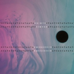 Grimus - High (clip)