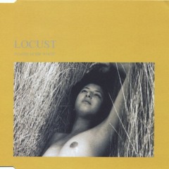 Locust ― No-One In The World (Third Summer After Mix) (7:10)