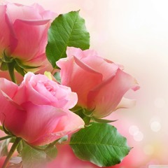 love forever