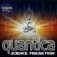 Clip from "Destiny Airways" by Quantica (Flying Spores Rec)