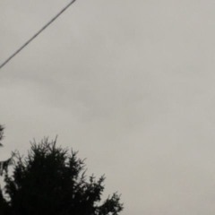 Odeeno X A.T Gold - SmllDstncs [UKIT]