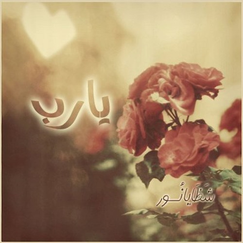 ياسر ابوعمار