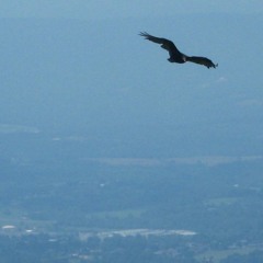 "... And All that Separates Us Will One Day Disappear" Featuring ProjetÔ