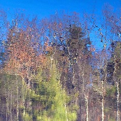 Shin-rin Yoku (Forest Bathing) fragment of music for violin and interactive computer system
