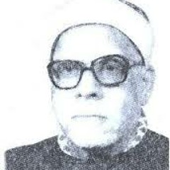 الشيخ محمود عبدالحكيم