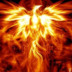 Phoenix Rising