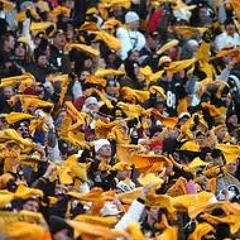 Arise Steelers Nation