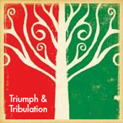 In The Shallow We Lay