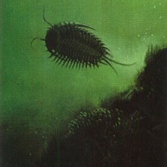 old wars / lost worlds (w/ jesse summers)