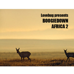 Lovebug pres. 'Boogiedown Africa 2'