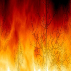 Arsonist