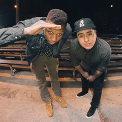 Fun-We are young Remix