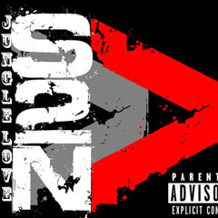 Jungle Love S2N Wellz Phargo & Drew Skez