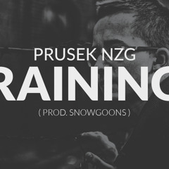 Raining (prod. Snowgoons)