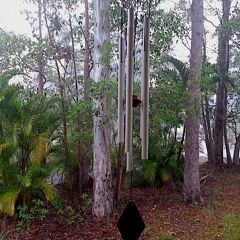 528hz - 'LOVE' frequency wind chime - The Alchemy of Sound