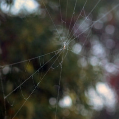 High coo [disquiet0117-naviarjunto] [Naviarhaiku012 – They encounter]