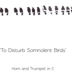 To Disturb Somnolent Birds