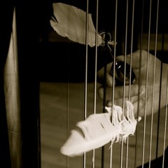 Inside the harp / GIB SIE WIEDER (PP 2014)