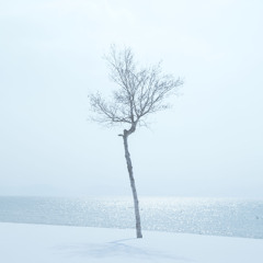 Piano /  Post Classical / Folktronica