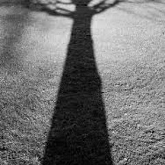 倪安東 － 影子