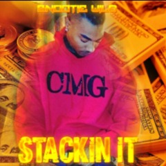 Snootie Wild - Stackin it  at ( Flippin it )