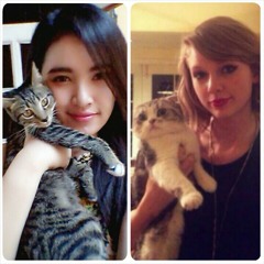 Taylor Swift - Stay Stay Stay (Cover)