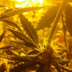 OURS FEAT STREET LORD JUAN  at C1V ENTERTAINMENT