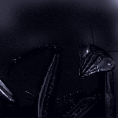 Asturias (Metal Cover)