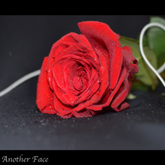 جَميلـة هـيَ الحياة ...