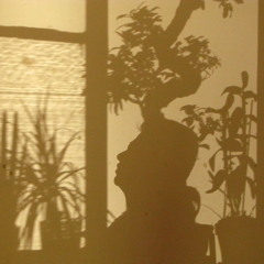 Agita - Gilles Peterson's Havana Cultura Band - Jefe Xinxim Remix.