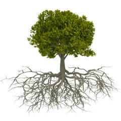 BAST - Tree roots (Instrumental)