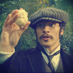 Fantastic Beasts and Where to Find Them