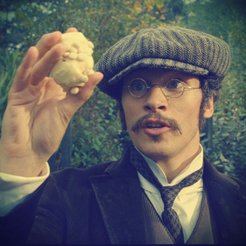 Fantastic Beasts and Where to Find Them