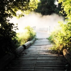 Hasche - The Path