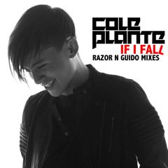If I Fall (Razor N Guido Vocal)