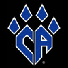 Cheer Athletics Panthers - Champions League 2014