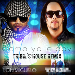 Don Miguelo - Como yo le doy (Tribil's House Remix)