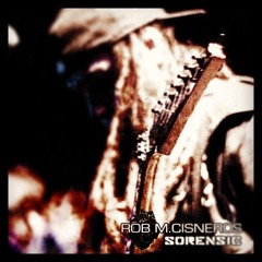 Snakecharmer-RAGEAGAINSTTHEMACHINE-COVER "TRIBUTE TO RATM"