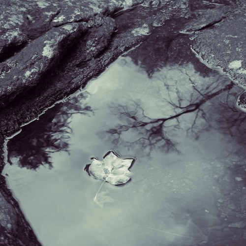 Fall