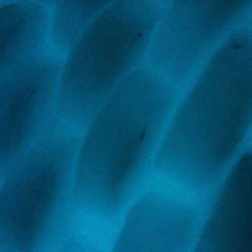 catafalque of the sayoshant [disquiet0117-naviarjunto] [Naviarhaiku012 – They encounter]