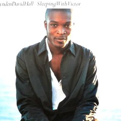 Lynden David Hall "Sleeping WIth Victor (Marvel & Eli remix)"