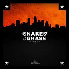 Snakes In The Grass (prod. Mecano)