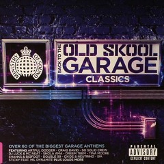 Moving Too Fast - Romina Johns