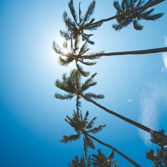 Palma ( for sale $75)