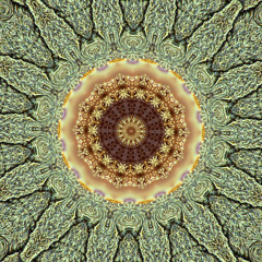 KALEIDOSCOPIC BY Ray Sharp/ BEAT by Brandon Thomas