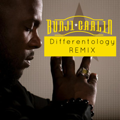 Differentology (Renaldo868 Remix)