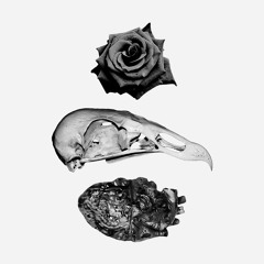 DEMON Ft. Chad of For The Fallen Dreams